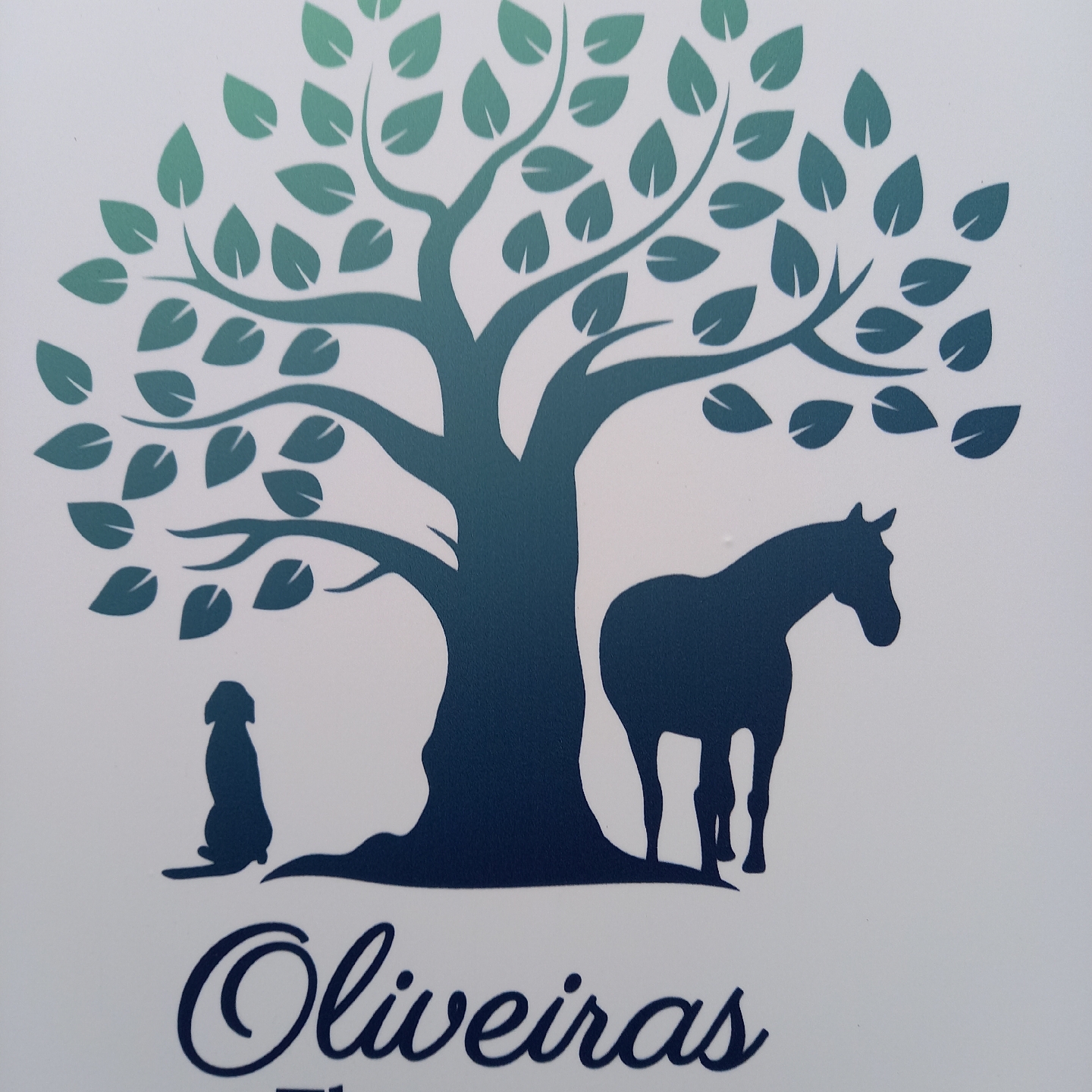 Oliveiras Therapie- Team Logo