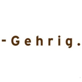 Dr. Gehrig Management- & Technologieberatung GmbH Logo