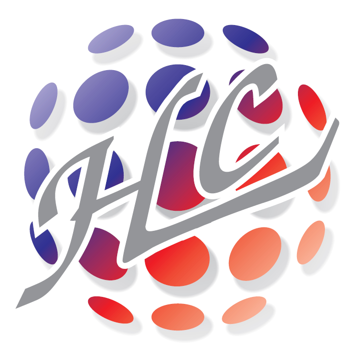 Unternehmensberatung Liese Logo